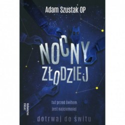 Nocny złodziej