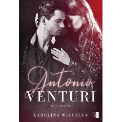 Antonio Venturi. Seria...