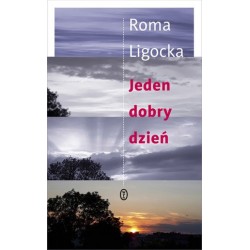 Jeden dobry dzień