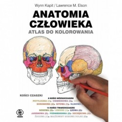 Anatomia człowieka. Atlas...