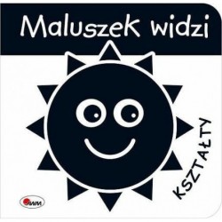 Maluszek widzi. Kształty