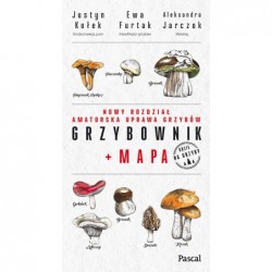 Grzybownik + mapa