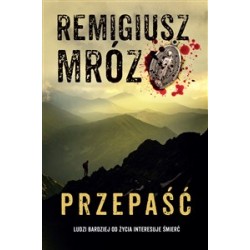 Przepaść. Remigiusz Mróz