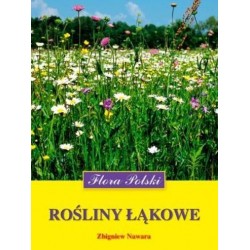 Rośliny łąkowe. Flora Polski
