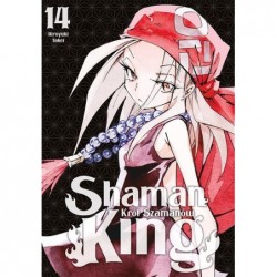 Shaman King. Tom 14