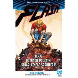Flash – Rok pierwszy