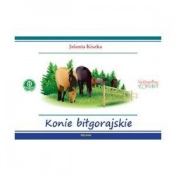 Konie biłgorajskie