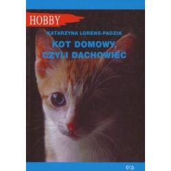 Kot domowy, czyli dachowiec