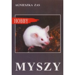 Myszy