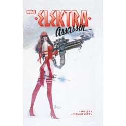 Elektra – Assassin