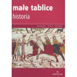 Małe tablice. Historia (2016)