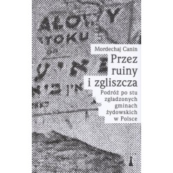 Przez ruiny i zgliszcza