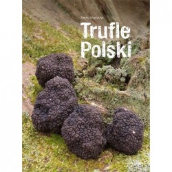 Trufle Polski