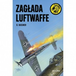 Zagłada Luftwaffe