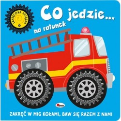 Zakręcona książka. Co...