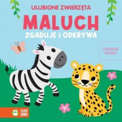 Maluch zgaduje i odkrywa....