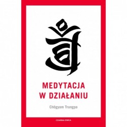 Medytacja w działaniu