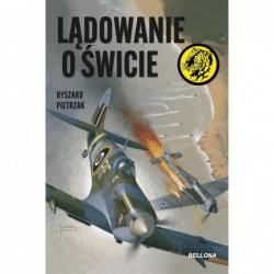 Lądowanie o świcie