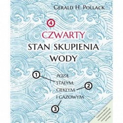 Czwarty stan skupienia wody