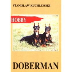 Doberman