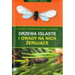 Drzewa iglaste i owady na...