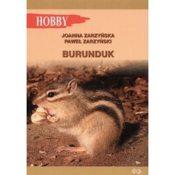 Burunduk. Hobby