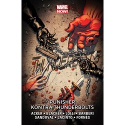 Thunderbolts: Punisher...