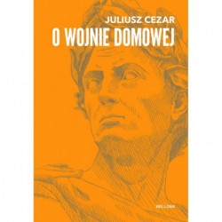 O wojnie domowej