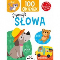 100 okienek. Poznaję słowa