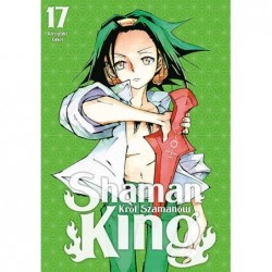 Shaman King #17