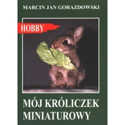 Mój króliczek miniaturowy