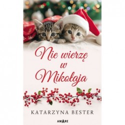 Nie wierzę w Mikołaja