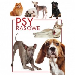 Psy rasowe