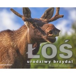 Łoś - urodziwy brzydal