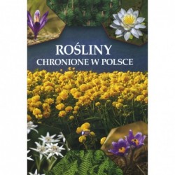 Rośliny chronione w Polsce