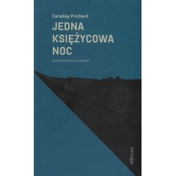 Jedna księżycowa noc