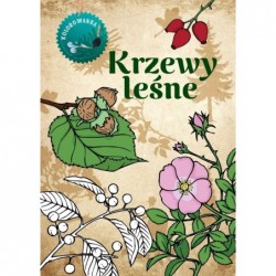 Krzewy leśne. Kolorowanka