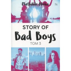 Story of Bad Boys. Tom 3