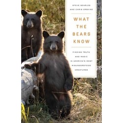 What the Bears Know