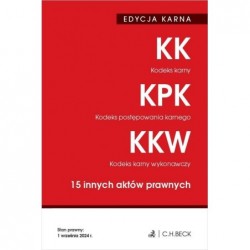 Edycja karna. KK, KPK, KKW...