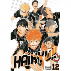 Haikyu!! Tom 12