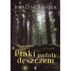 Ptaki padały deszczem