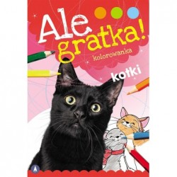 Ale gratka! Kotki