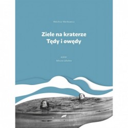 Ziele na kraterze. Tędy i...