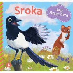 Sroka