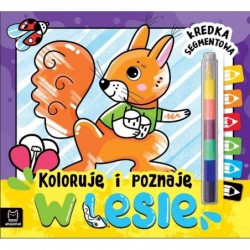 Koloruję i poznaję. W...