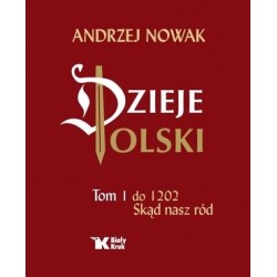Dzieje Polski. Tom 1. Do...