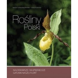 Rośliny Polski