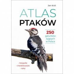 Atlas ptaków. 250 gatunków...