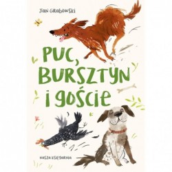 Puc, Bursztyn i goście